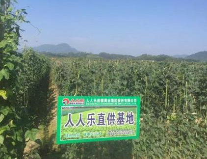 老牌超市巨头人人乐发力生鲜业态 六大创新理